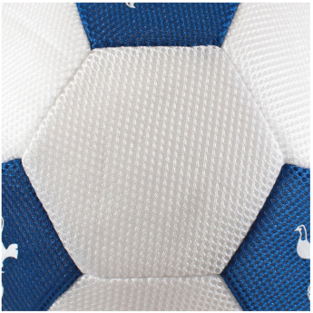 Tottenham Hotspur minge 14” Mesh Ball