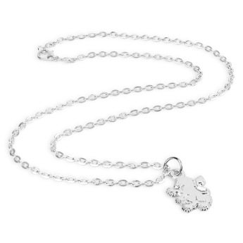 Aston Villa lănțișor de gât cu pandantiv Silver Plated Boxed Pendant LN