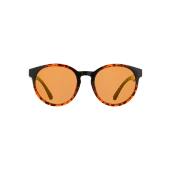 Red Bull Racing ochelari de soare EVER brown-black with brown lenses
