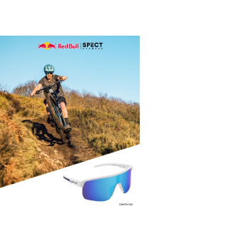 Red Bull Racing ochelari de soare DAKOTA black with purple green glass