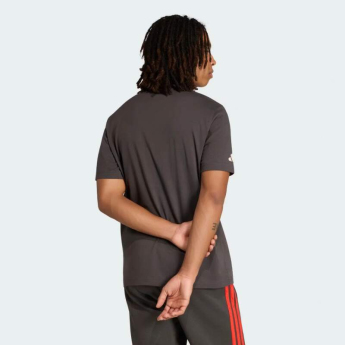 Audi F1 tricou de bărbați DNA Graphic grey F1 Team 2026