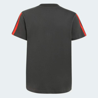 Audi F1 tricou de copii DNA print grey F1 Team 2026