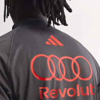 Audi F1 hanorac de bărbați 1/4 Zip mechanic grey F1 Team 2026