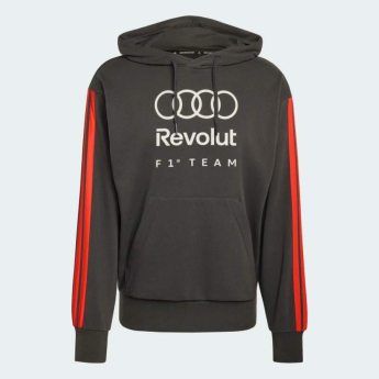 Audi F1 hanorac de bărbați cu glugă DNA grey F1 Team 2026