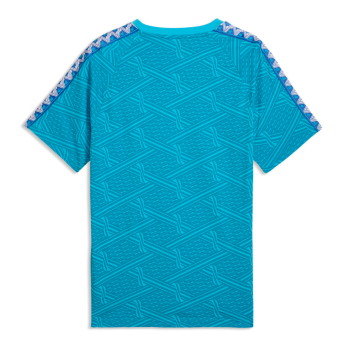 Manchester City tricou de bărbați King blue