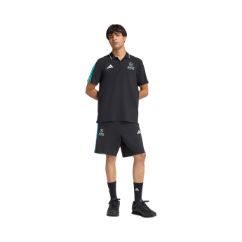Mercedes AMG Petronas tricou polo DNA black F1 Team 2026