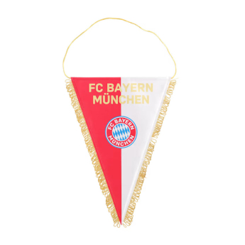 Bayern München steag Big