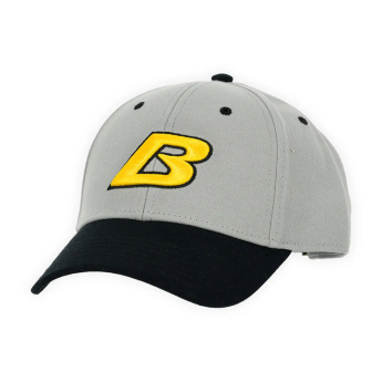 Borussia Dortmund șapcă de baseball grey B