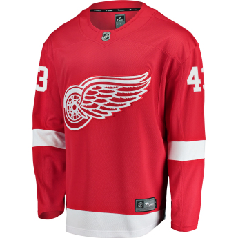 Detroit Red Wings tricou de hochei #43 Darren Helm Breakaway Alternate Jersey