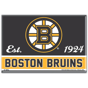 Boston Bruins magnet logo