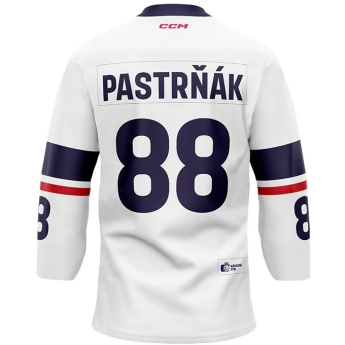 Echipa națională de hochei tricou de hochei Czech Republic  2023/2024 CCM Fandres replica - white David Pastrňák #88