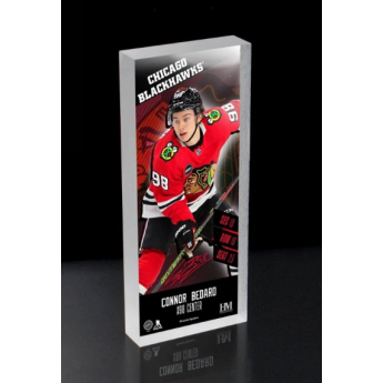 Chicago Blackhawks poză în ramă Connor Bedard picture