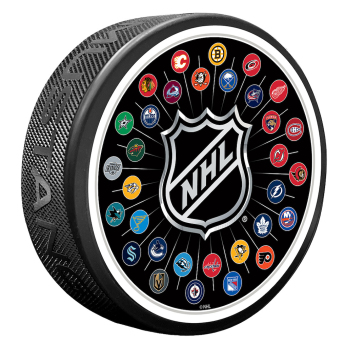 NHL produse puc NHL 32 Team Logos Puck