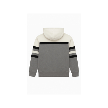 Chicago Blackhawks hanorac de bărbați cu glugă Head Coach Hoodie Current Logo grey