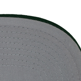 Minnesota Wild șapcă de baseball Tailsweeps Pro Snapback
