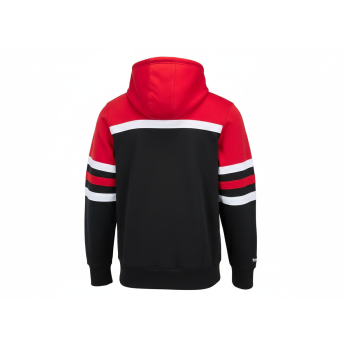 Detroit Red Wings hanorac de bărbați cu glugă Head Coach Hoodie Current Logo black