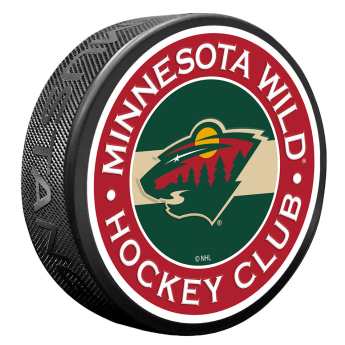 Minnesota Wild puc Stripe Design