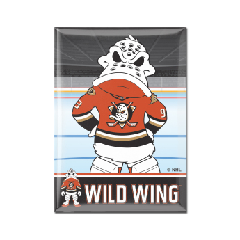Anaheim Ducks magnet Metal Mascot