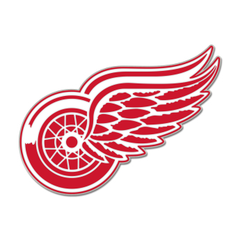 Detroit Red Wings insignă Enamel Pin Jewelry Card