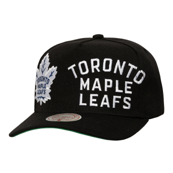 Toronto Maple Leafs șapcă de baseball Busted Pro Snapback black