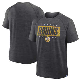 Boston Bruins tricou de bărbați Vital grey