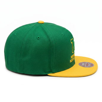 Minnesota North Stars șapcă flat MN