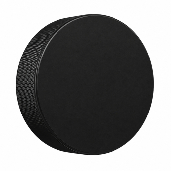 Echipa națională de hochei puc Ice Hockey World Championship Switzerland MS 2026