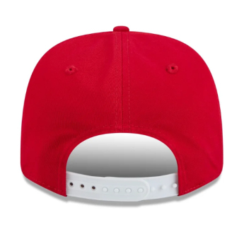 Detroit Red Wings șapcă de baseball NHL New Era 970SS Champion 26