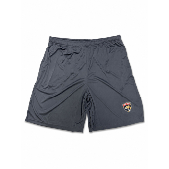 Florida Panthers pantaloni scurți pentru bărbați NHL Grey Primary Logo
