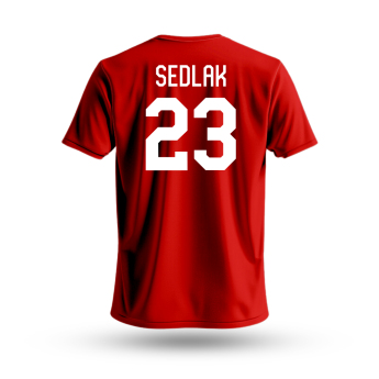 Echipa națională de hochei tricou de bărbați Lukáš Sedlák #23 Czech National Emblem 2025 Red