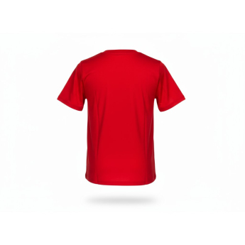 Minnesota Wild tricou de copii All Time Great Triblend