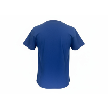 Toronto Maple Leafs tricou de copii Divide Ss Ctn Tee