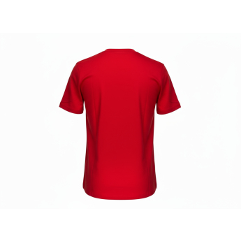 Detroit Red Wings tricou de copii Apro Wordmark Ss Ctn Tee