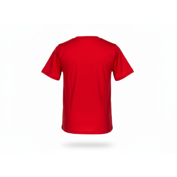 Chicago Blackhawks tricou de copii Apro Wordmark Ss Ctn Tee red