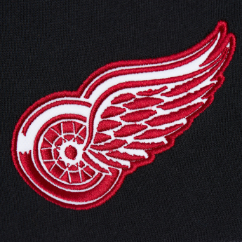 Detroit Red Wings hanorac de bărbați cu glugă Head Coach red