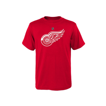 Detroit Red Wings tricou de copii Primary Logo