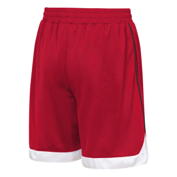 Detroit Red Wings pantaloni scurți de copii All Star Sublimation Print Sho