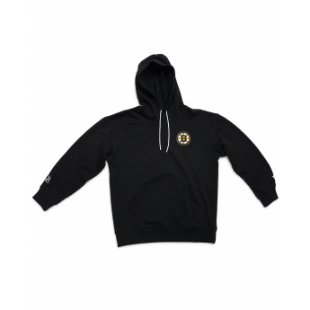 Boston Bruins hanorac de bărbați NHL Decent Logo