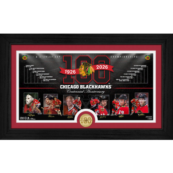 Chicago Blackhawks placă de colecție 100th bronze coin Timeline photo mint