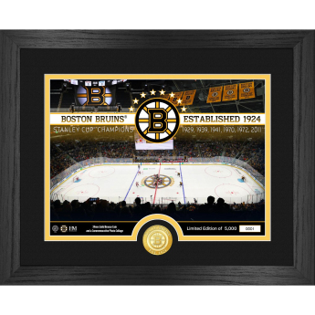 Boston Bruins poster NHL Team Rink Photo Bronze Coin Photo Mint
