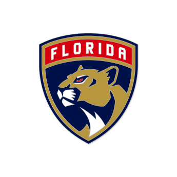 Florida Panthers insignă Enamel Pin Jewelry Card