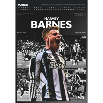Newcastle United calendar Deluxe 2027