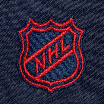 Florida Panthers șapcă de baseball NHL Legendary Home Pro Snapback