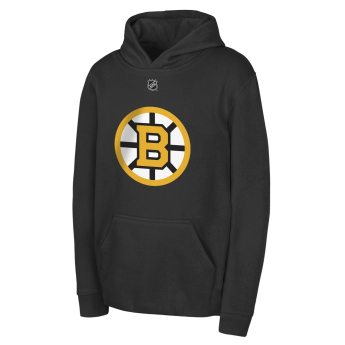 Boston Bruins hanorac cu glugă pentru copii David Pastrnak #88 NHL Flat Name & Number Fleece