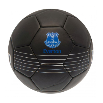 FC Everton mini balon de fotbal Skill Ball RT - size 1