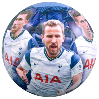 Tottenham Hotspur balon de fotbal players photo football