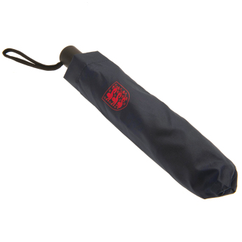 Echipa națională de fotbal umbrelă Automatic Umbrella