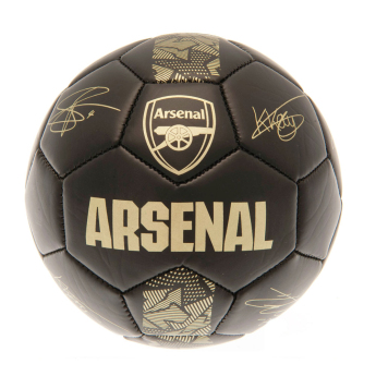 FC Arsenal mini balon de fotbal Skill Ball Signature Gold PH size 1