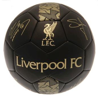 FC Liverpool balon de fotbal Signature Gold PH - size 5
