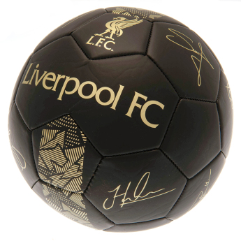 FC Liverpool balon de fotbal Signature Gold PH - size 5